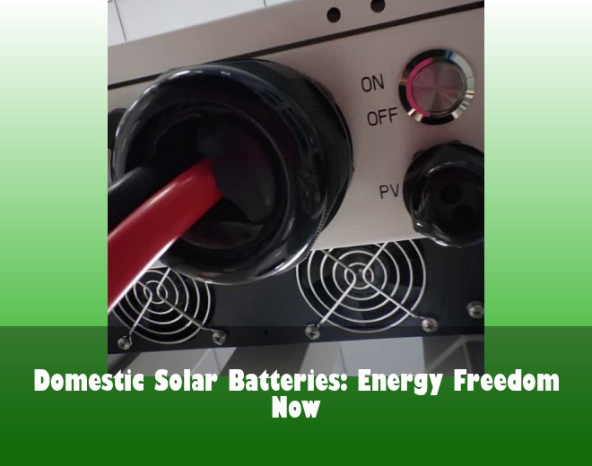 Domestic Solar Batteries: Energy Freedom Now